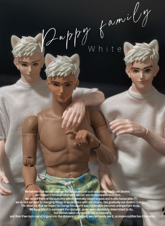 Action Figure Toys