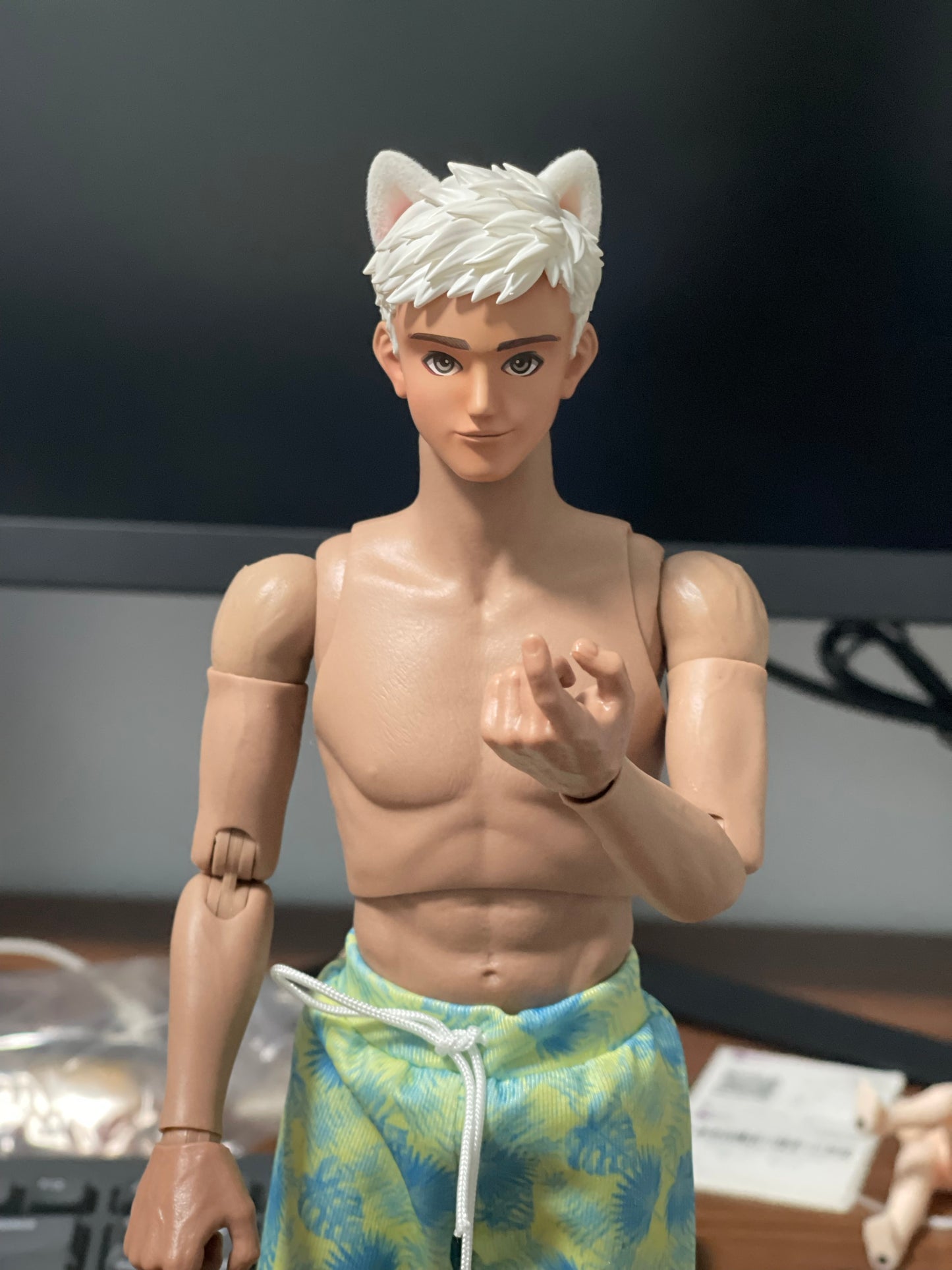 1:6 scaleThe Puppy Guy action figures:White